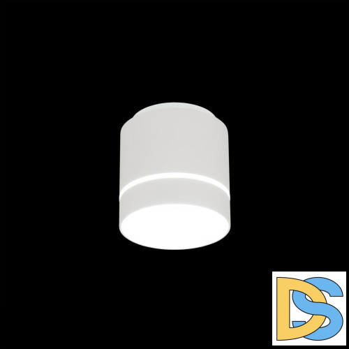 Накладной светильник Citilux Борн CL745020N