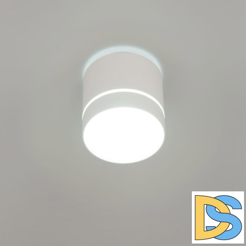 Накладной светильник Citilux Борн CL745020N