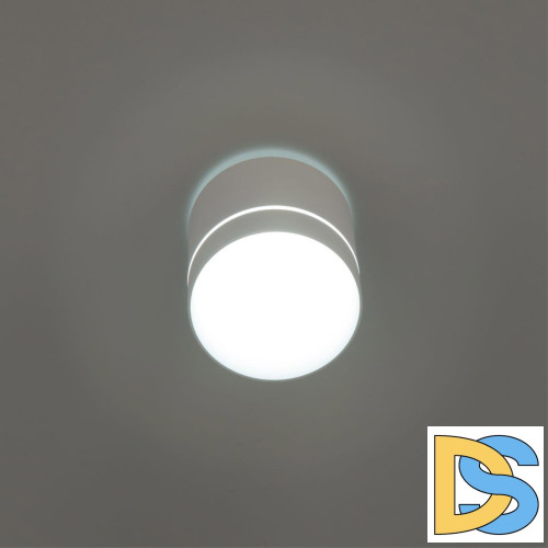 Накладной светильник Citilux Борн CL745020N