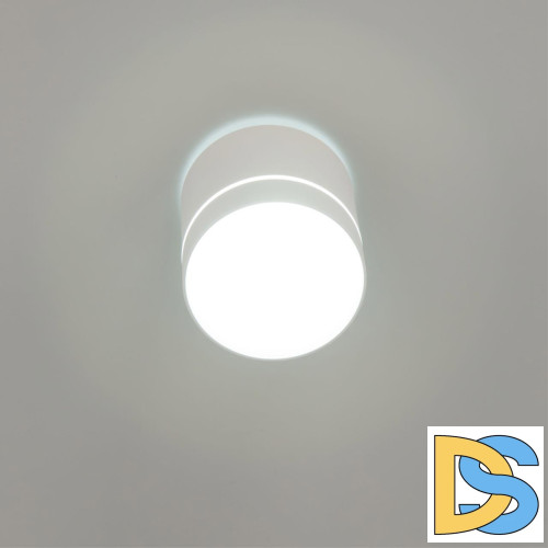 Накладной светильник Citilux Борн CL745020N