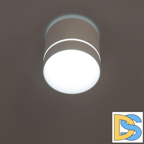 Накладной светильник Citilux Борн CL745020N