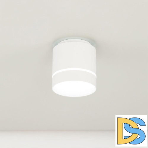 Накладной светильник Citilux Борн CL745020N