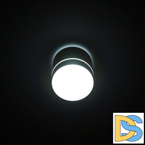 Накладной светильник Citilux Борн CL745020N