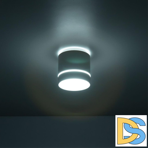 Накладной светильник Citilux Борн CL745020N