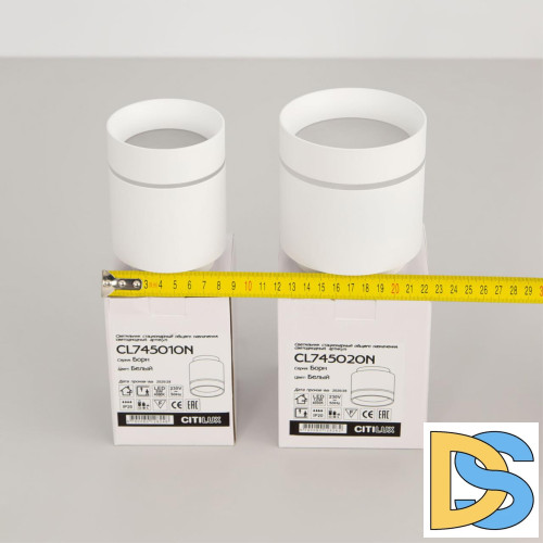 Накладной светильник Citilux Борн CL745020N