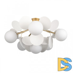 Потолочная люстра Loft IT Matisse 10008/6C White
