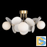 Потолочная люстра Loft IT Matisse 10008/6C White