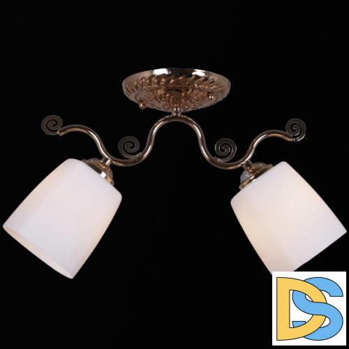 Потолочный светильник Reluce 31409-0.3-02