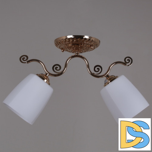 Потолочный светильник Reluce 31409-0.3-02