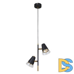 Подвесной светильник F-Promo Trandy 4618-2P