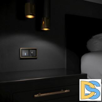 Рамка на 2 поста Baguette (черный/латунь) W0022852