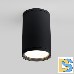 Уличный потолочный светильник Elektrostandard Light 4690389175916