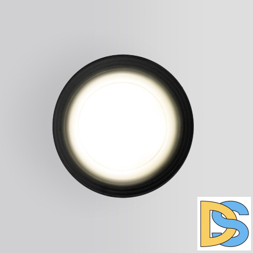 Уличный потолочный светильник Elektrostandard Light 4690389175916