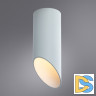 Потолочный светильник Arte Lamp Pilon A1615PL-1WH
