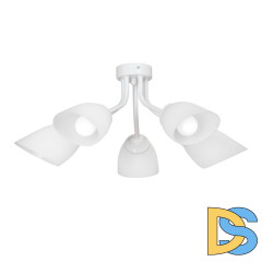 Потолочная люстра Vitaluce V3184/5PL