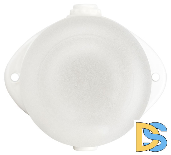 Настенно-потолочный светильник Эра НББ 02-60-001 Б0064005