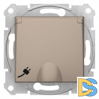 Розетка 1-ая электрическая, с заземлением, крышкой IР44, влагозащищенная, Титан, серия Sedna, Schneider Electric