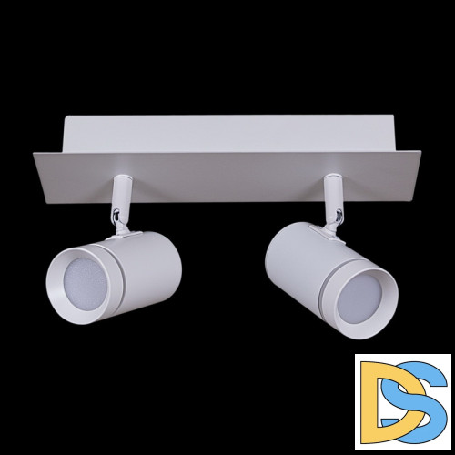 Спот Reluce 84281-9.5-002RT LED2*5W WT