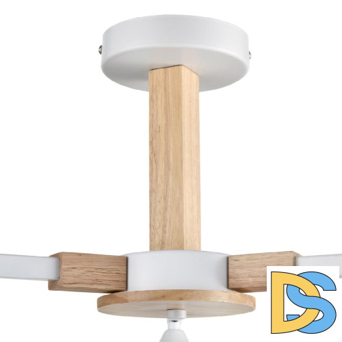 Люстра на штанге Lumion Colange 8095/3C