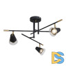 Потолочная люстра F-Promo Trandy 4618-3C