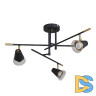 Потолочная люстра F-Promo Trandy 4618-3C
