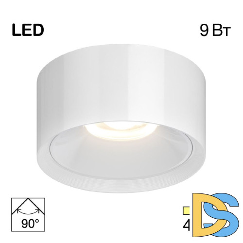 Накладной светильник Citilux Rover CL743090N