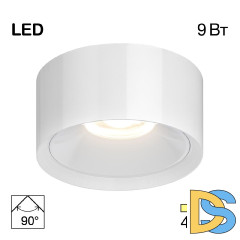Накладной светильник Citilux Rover CL743090N