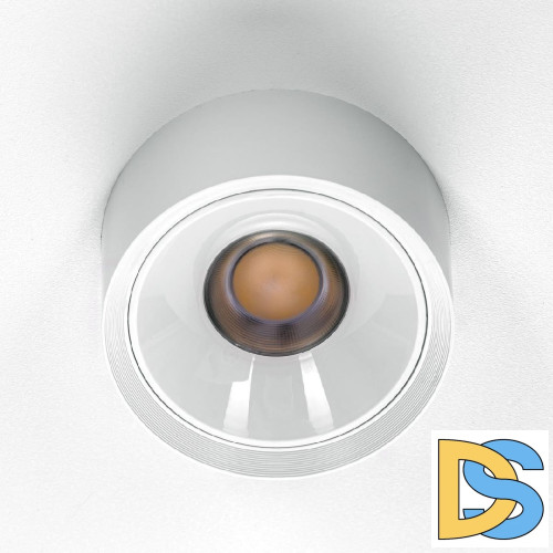 Накладной светильник Citilux Rover CL743090N