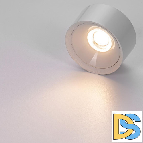 Накладной светильник Citilux Rover CL743090N