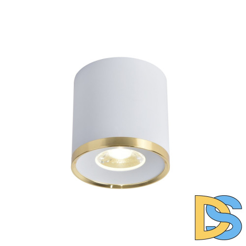 Накладной светильник Favourite Prakash 3085-2C