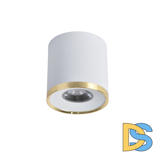 Накладной светильник Favourite Prakash 3085-2C