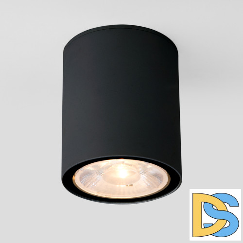 Уличный потолочный светильник Elektrostandard Light LED 4690389176586