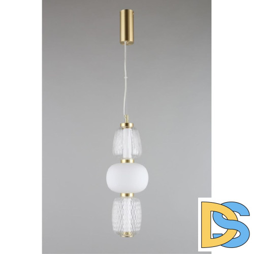 Подвесной светильник Aployt Simonet APL.318.06.29