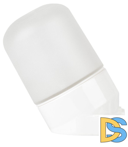 Настенно-потолочный светильник Эра НББ 02-60-002 Б0064018