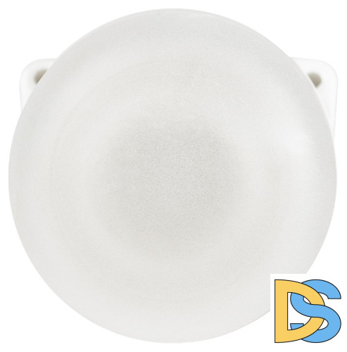 Настенно-потолочный светильник Эра НББ 02-60-002 Б0064018