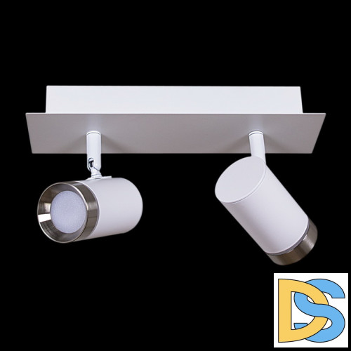 Спот Reluce 84281-9.5-002RT LED2*5W WT+SN