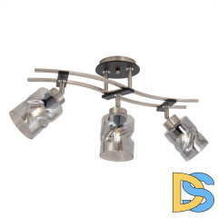 Спот Citilux Мерида CL142135