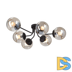 Потолочная люстра Vitaluce V4997-1/6PL