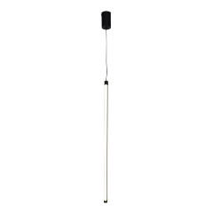Подвесной светильник Indigo Linea 14024/B/1P Black V000127L