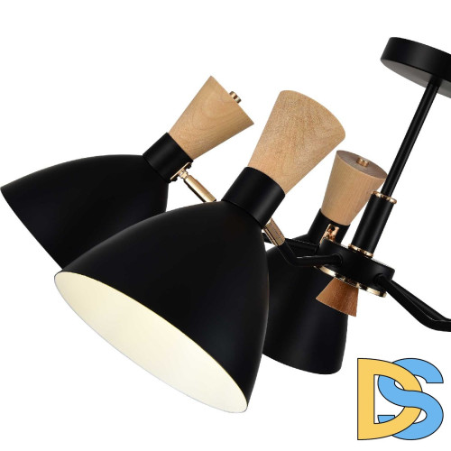 Люстра на штанге Evoluce Vista SLE1256-402-05