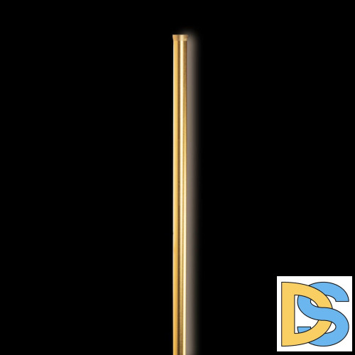 Настенный Светильник Loft IT Rays 10054GD