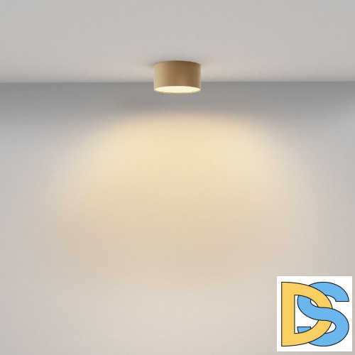 Накладной светильник Maytoni Zon C032CL-12W2.7K-RD-MG