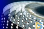 Светодиодная лента DesignLed DSG5120-24-W-33 000522
