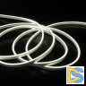 Гибкий неон Elektrostandard 24V 10W 120Led 2835 IP65 холодный белый 5м 4690389176128