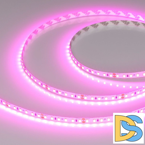 Светодиодная лента Arlight RT-A120-8mm 24V Magenta (9.6 W/m, IP20, 2835, 5m) 043381