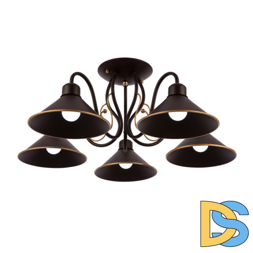 Потолочный светильник EVOLUCE CIOLLA SLE120402-05