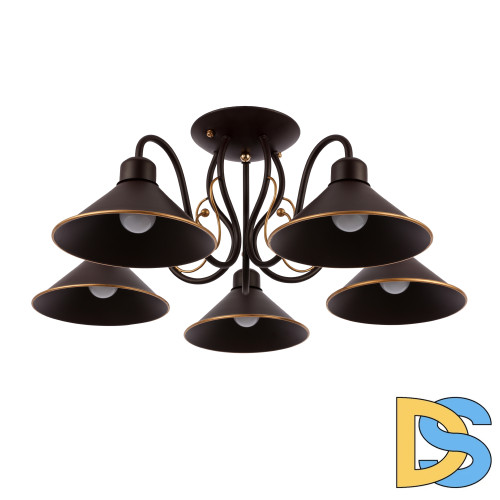 Потолочный светильник EVOLUCE CIOLLA SLE120402-05