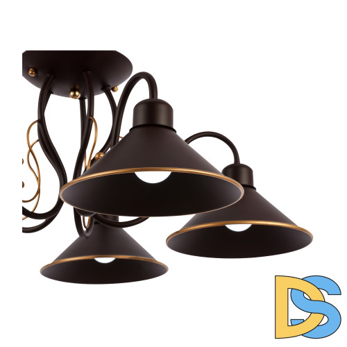 Потолочный светильник EVOLUCE CIOLLA SLE120402-05