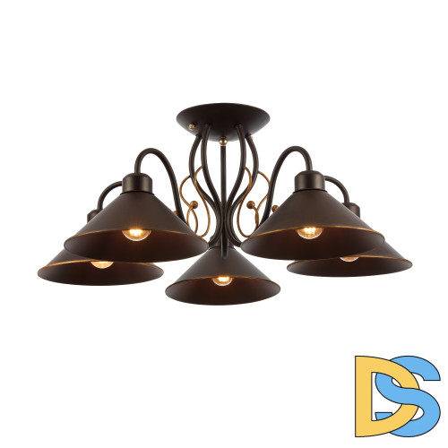 Потолочный светильник EVOLUCE CIOLLA SLE120402-05