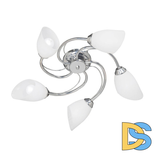 Потолочная люстра Vitaluce V3236/5PL